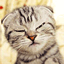 不要吓我.gif