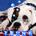 不要打搅我.gif