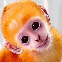 造型怎么样.gif